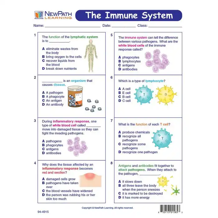 High Quality NewPath Learning The Immune System Learning Center Game, Grades 6 to 10
